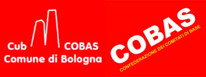 logo_cub_cobas_300